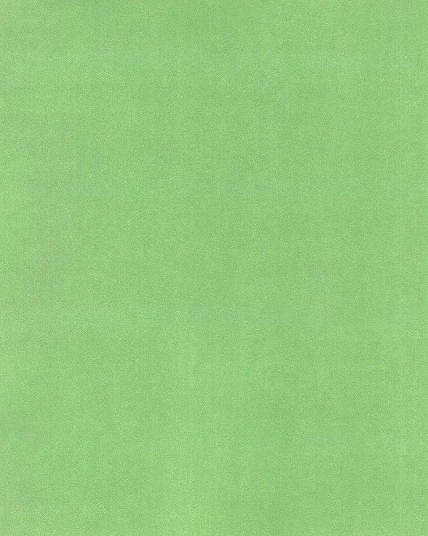 Hattan Palette | 64 Green